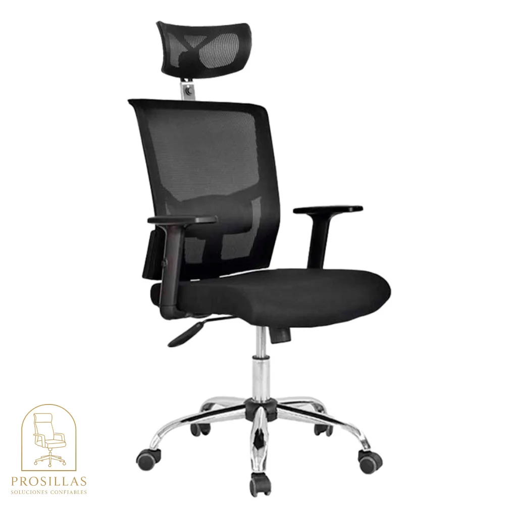 Estambul Silla Presidencial