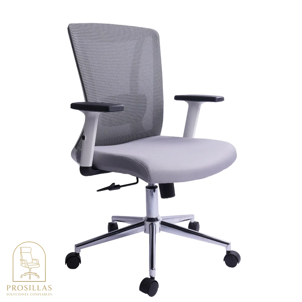 Polar Silla Presidencial